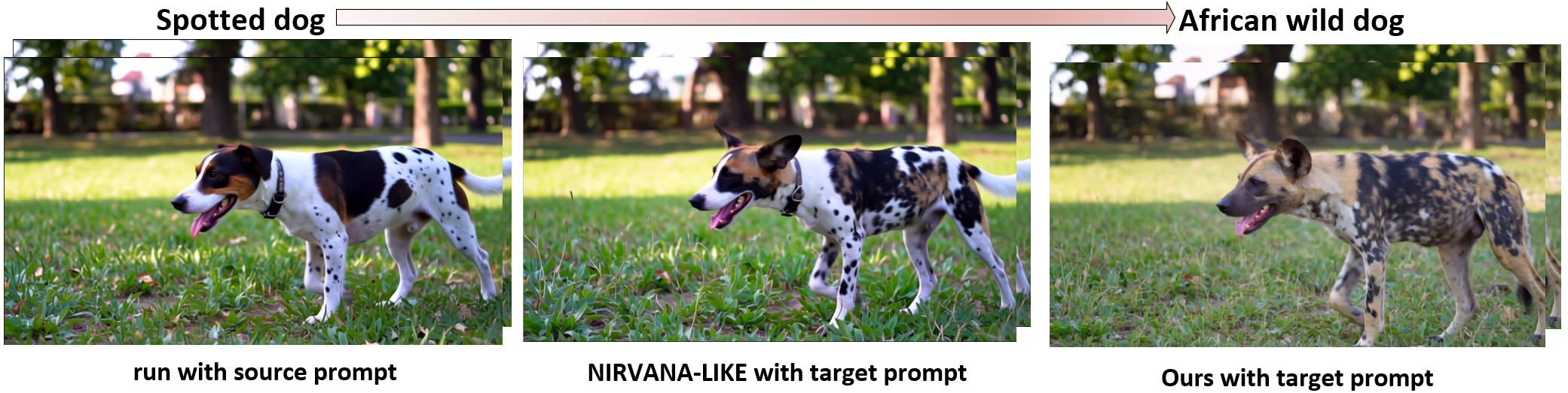 Visual Result - Wild Dog